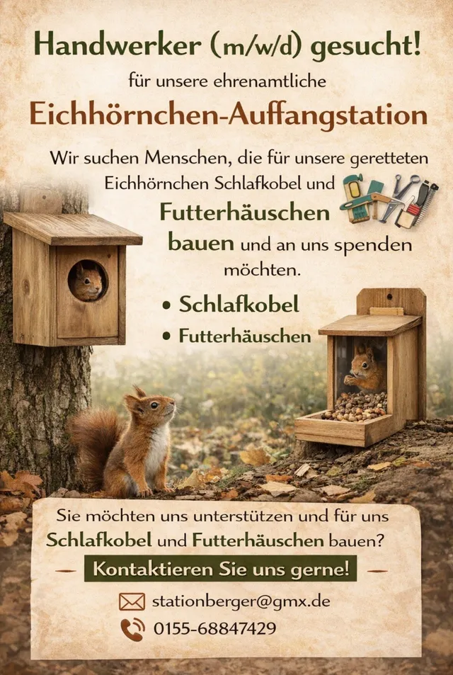 Aufruf-Plakat der Station: Handwerker gesucht für den Bau von Schlafkobeln und Futterhäuschen, mit Illustrationen von Holzhäuschen und einem Eichhörnchen.